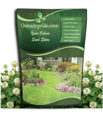 Amazon.com : Dixie Crimson Clover Seeds (5,000 Seed Package